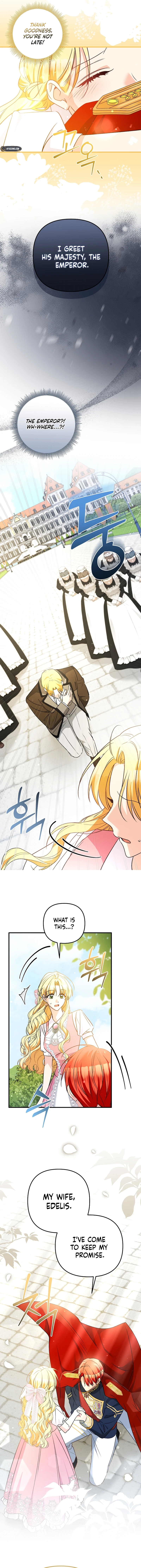 I Want a Divorce, Please Stop Obsessing Over Me! Chapter 8 Page 9